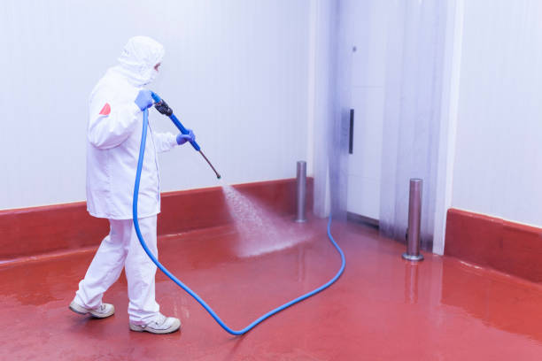 Best Patio and Deck Pressure Washing  in Robertsville, NJ